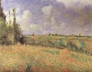 Camille Pissarro Rye Fields at Pontoise china oil painting reproduction